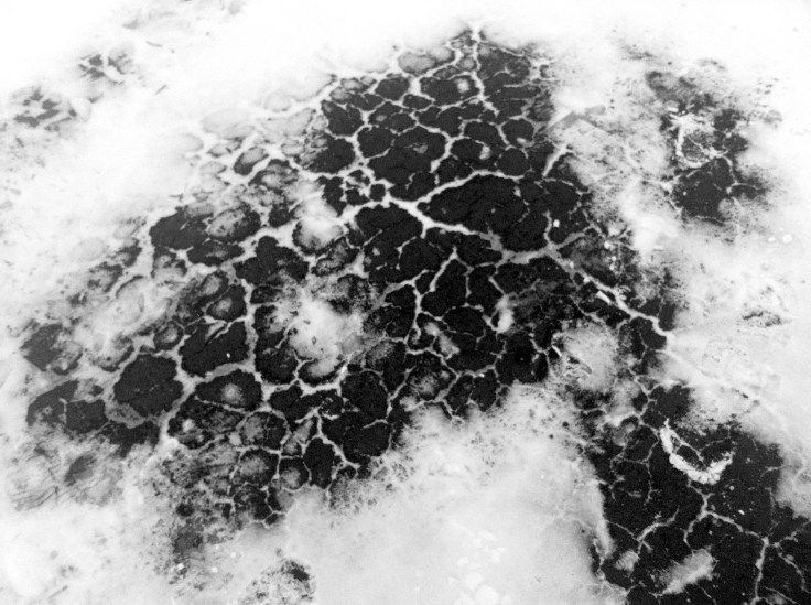 winter sidewalk abstract: the wandering eye 03 Jan 2013