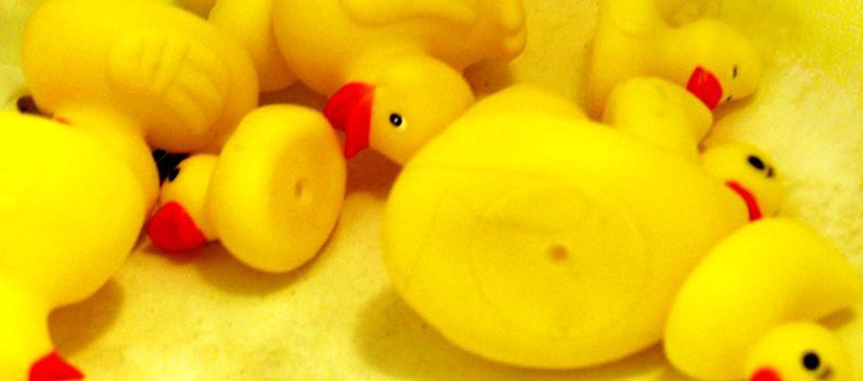 crop ali ducks
